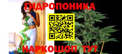 дмт Бузулук